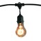 Bulbrite 48-foot String Light Kit with Nostalgic Loop Filament A19 Light Bulbs, 2PK 862823 - alternate 1